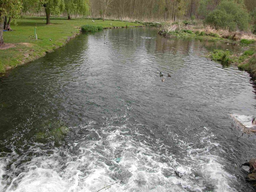 03065000_photo_02