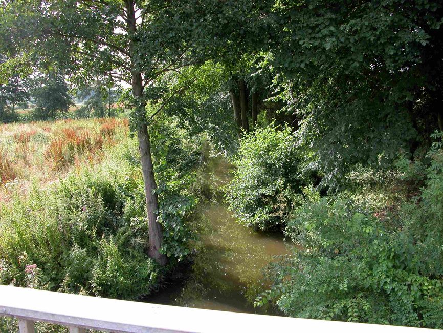 03168400_photo_01