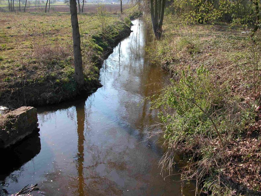 03168400_photo_03
