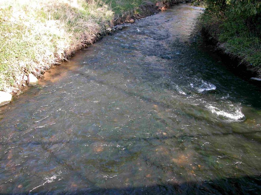 03169500_photo_02