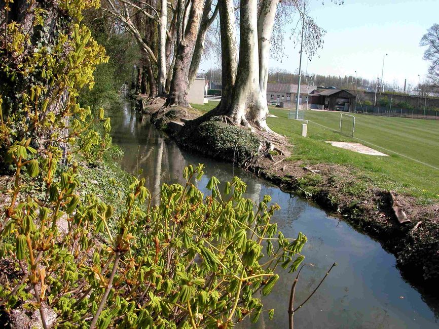 03172001_photo_02
