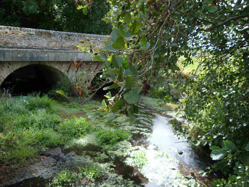 03190489_photo_01