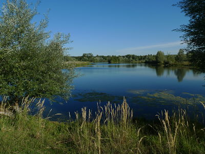 Réserve naturelle régionale du Grand-Voyeux