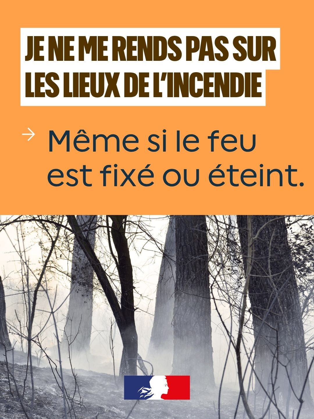 Image 2 : Forêt calcinée et enfumée. Texte : « Je ne me rends pas sur les lieux de l'incendie. Même si le feu est fixé ou éteint. »