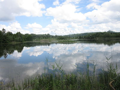 Réserve naturelle régionale du Grand-Voyeux