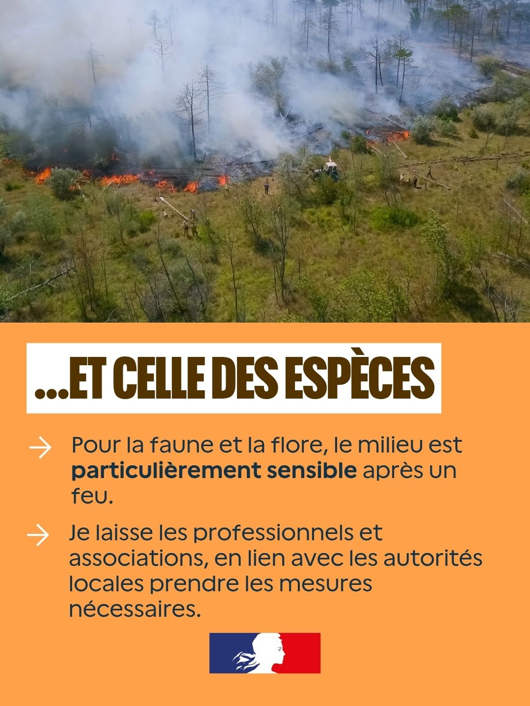 Image 5 : Vue aérienne d'un feu de végétation avec des intervenants sur zone. Texte : « Et celle des espèces : pour la faune et la flore, le milieu est particulièrement sensible après un feu. Je laisse les professionnels et associations, en lien avec les autorités locales, prendre les mesures nécessaires. »