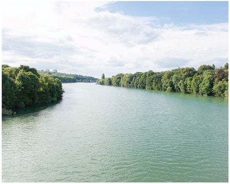 Berges vertes des bords de Seine