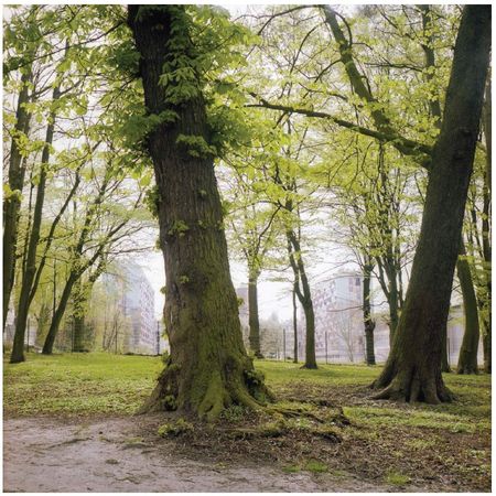 Jour tranquille à Clichy-sous-bois