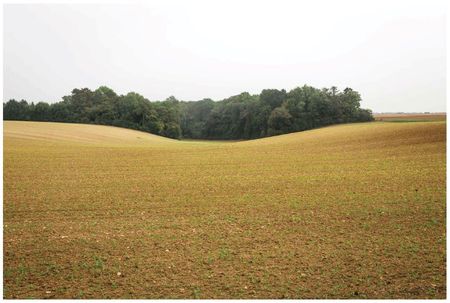 La corne du Vexin et ses gracieuses inflexions La corne du Vexin et ses gracieuses inflexions