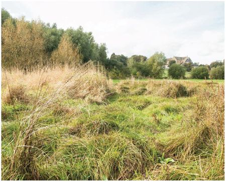 La nature reconquiert ses droits La nature reconquiert ses droits