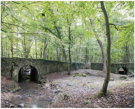 Le pont oublié des Templiers