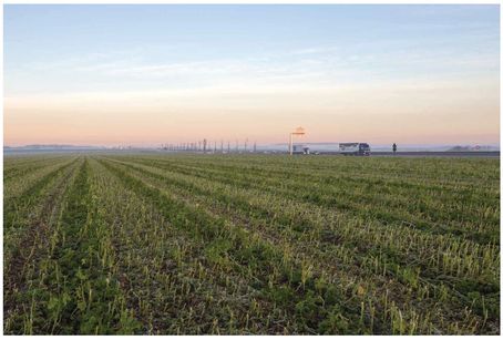 Matin d'automne dans les grandes plaines du Vexin