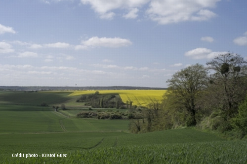 Plaine de Versailles (78)