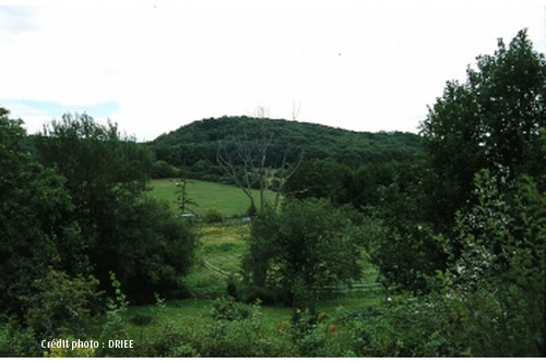 Site de la Haute Vallée de Chevreuse (78)