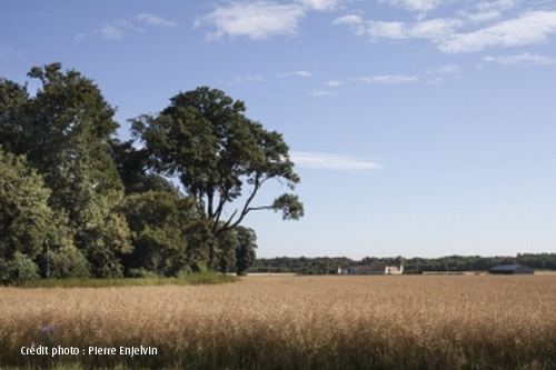 Site de la Plaine du Trou de l'Enfer (78)