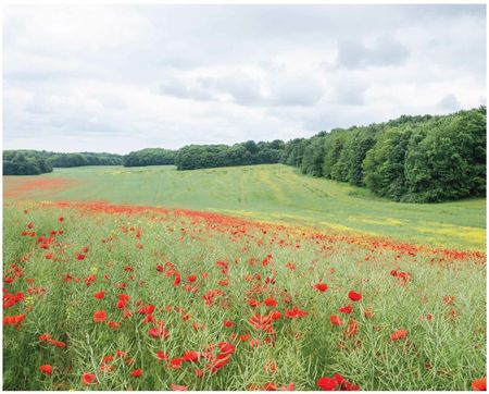 Tableau impressionniste de la Vallée de la Rémarde