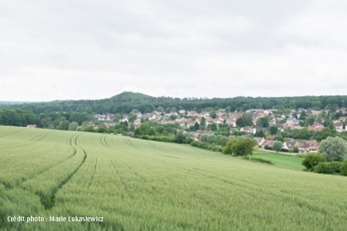 Vallée de la Renarde (91) Vallée de la Renarde (91)