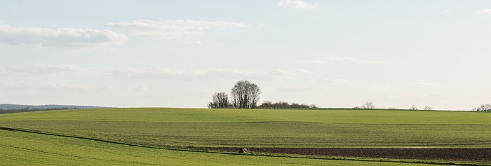Site classé de la Vallée de l'Orvanne (77)