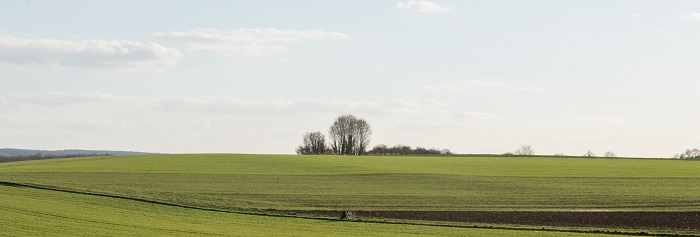 Site classé de la Vallée de l'Orvanne (77)