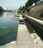Berge de Seine à Alfortville (94) Berge de Seine à Alfortville (94)