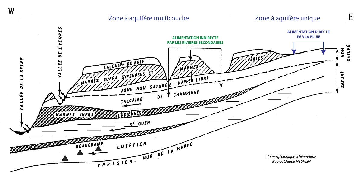 Coupe hydrogéologique de la nappe du calcaire de Champigny