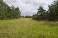 Pelouses calcaires du site Pelouses calcaires du site