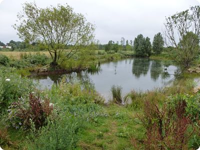Mare sur la plaine des Bordes (94)
