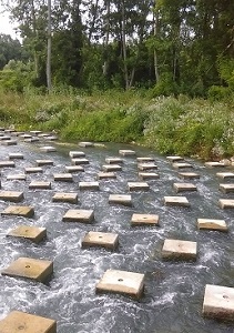 Une passe à poissons sur la Seine dans le 77