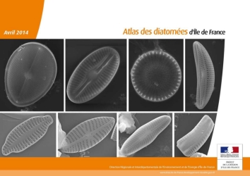 Atlas des diatomées d'Île de France